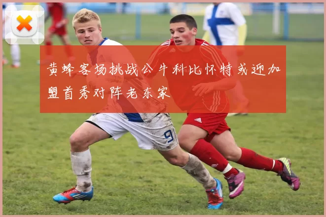 黄蜂客场挑战公牛科比怀特或迎加盟首秀对阵老东家